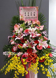 按此放大購買
