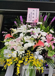 按此放大購買